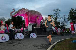 BIB: 
                            <button type="button" onclick="openModal(26529517)" class="btn btn-primary btn-sm float-right btn-popup" data-toggle="modal" data-target=".modal-high-quality">
                        <i class="fas fa-shopping-cart"></i> Add to Cart
                    </button>
                                            <button type="button" onclick="isThisMe(26529517, true)" class="btn btn-success btn-sm float-right btn-popup btn-isme hidden" data-toggle="tooltip" data-placement="bottom" title="นี่คือรูปของคุณใช่ไหม คลิกที่นี่เพื่อเอาเข้าอัลบั้ม">
                        <i class="fas fa-plus"></i> Add to album
                    </button>
                    <button type="button" onclick="isThisMe(26529517, false)" class="btn btn-warning btn-sm float-right btn-popup btn-isnotme hidden">
                        <i class="fas fa-ban"></i> Remove from album
                    </button>